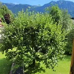 Haus Helena Apartment *