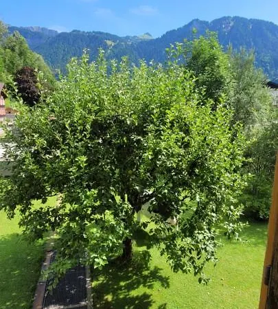 Haus Helena Apartment *